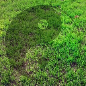 zen