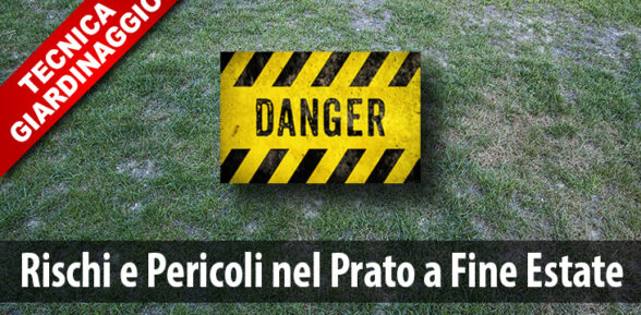 Rischi e Pericoli nel Prato a Fine Estate – 2023