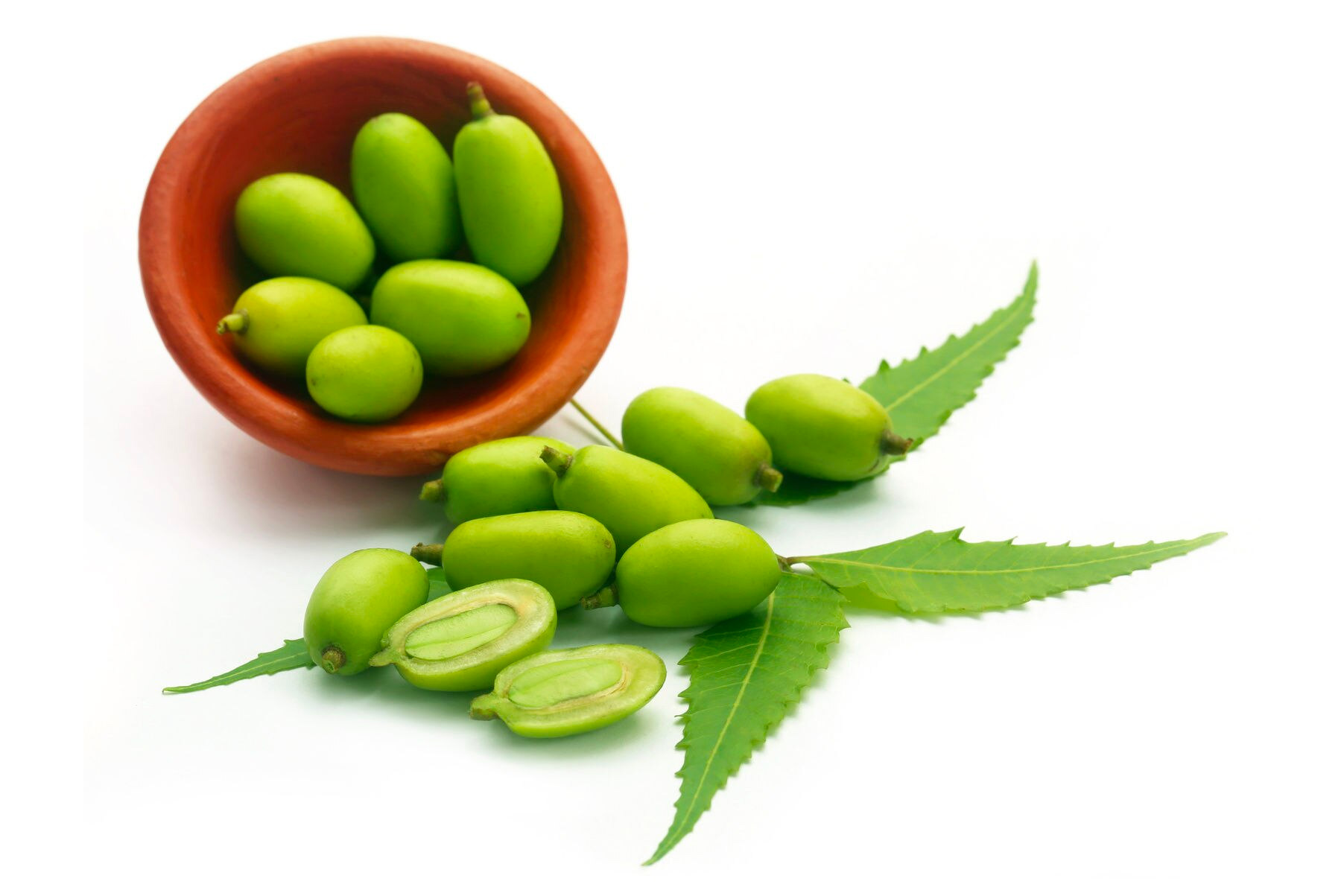 Utilizzi olio di neem per le piante: come utilizzare l'olio di