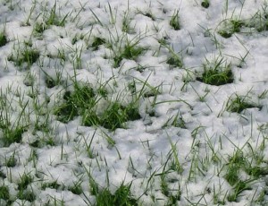 snow-0401-05x-lucy-paintbox