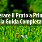 rigenerare prato primavera guida completa