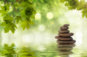 foto-murale-zen_pid_300_1_large