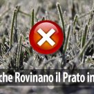 5 errori che rovinano il prato in inverno