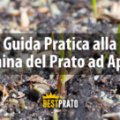 Guida pratica alla semina del prato ad aprile
