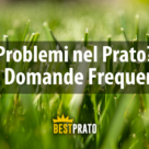 10 domande frequenti sulla cura e manutenzione del giardino