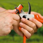 Affilatura forbice da potatura per manutenzione invernale attrezzi da giardino