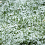 Neve su prato: consigli per proteggere il prato durante l'inverno