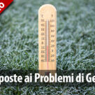 risposte ai problemi del prato a gennaio