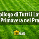 riepilogo dei lavori di primavera nel prato