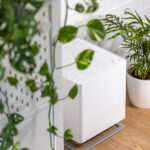 Umidificatore in stanza con piante da interno, utile per mantenere l'umidità durante l'inverno e proteggere le piante dalla sofferenza da secchezza