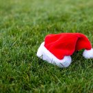 cappellino di natale in un prato verde