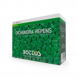Dichondra Repens Bottos - 0.5Kg
