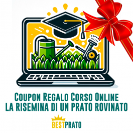 Coupon Regalo Corso Risemina Prato - Bestprato Academy