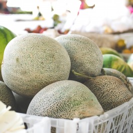 Melone Retato degli Ortolani | ‎ Bestprato by Hortus