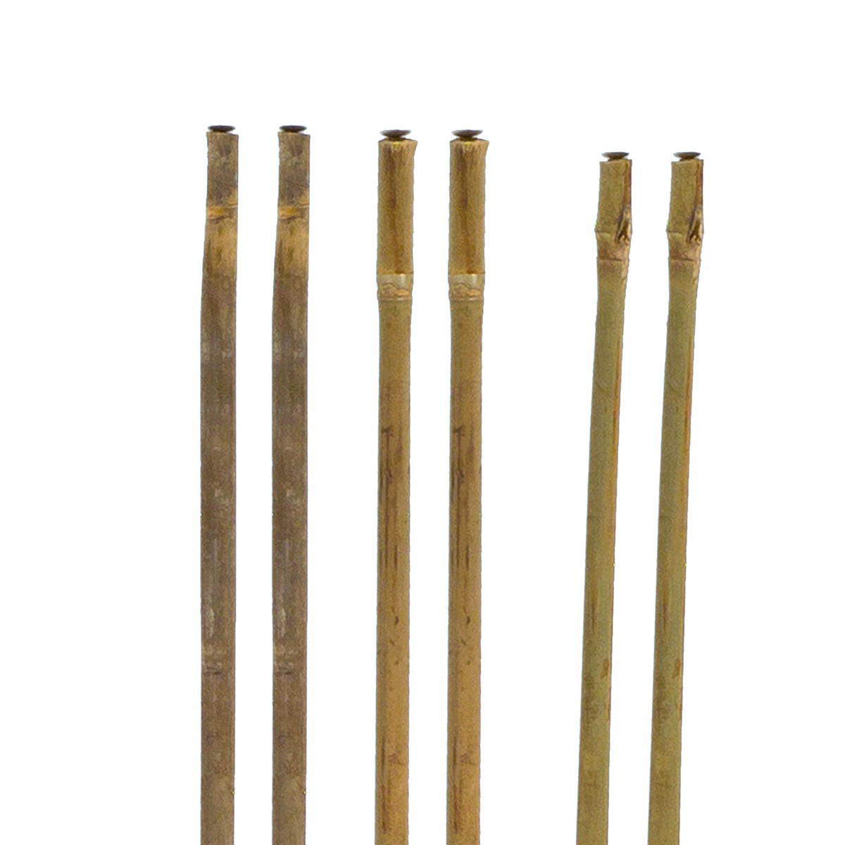 Canna di Bamboo per Orto Agricoltura - Stocker 210 cm