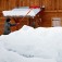 Pala da neve per tettoie Wolf Garten