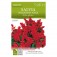 Salvia Splendens Nana | ‎ Bestprato by Hortus