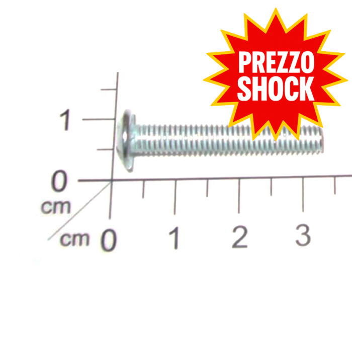 Bullone (M5 * 30) | Einhell