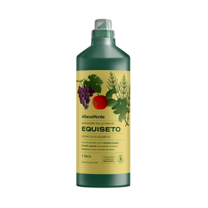 Decotto di Equiseto