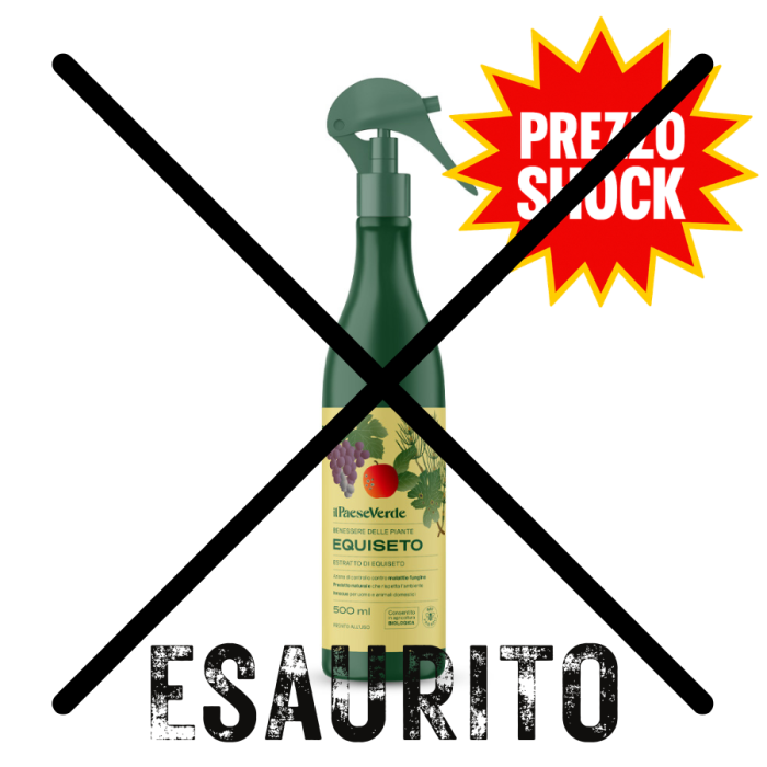 Decotto di Equiseto 500ml
