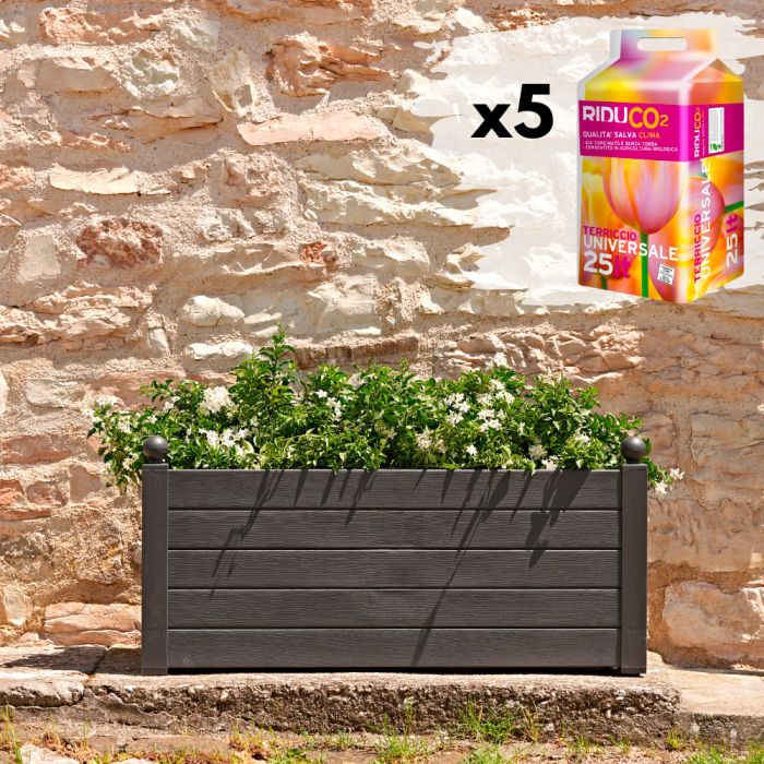 Kit Trama 2 Fiori