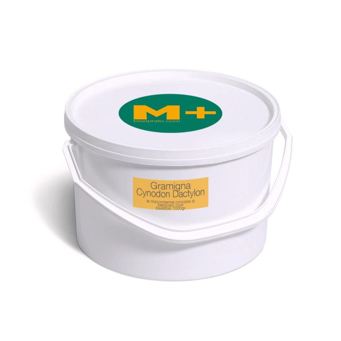 M+ Gramigna