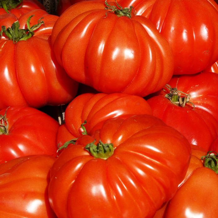 Pomodoro Cuore di Bue | ‎ Bestprato by Hortus