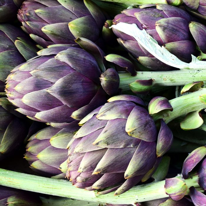 Carciofo Violet de Provence | ‎ Bestprato by Hortus