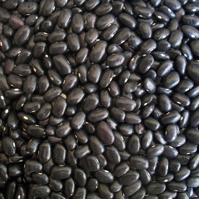 Fagiolo Super Marconi Rampicante 250 gr | ‎ Bestprato by Hortus