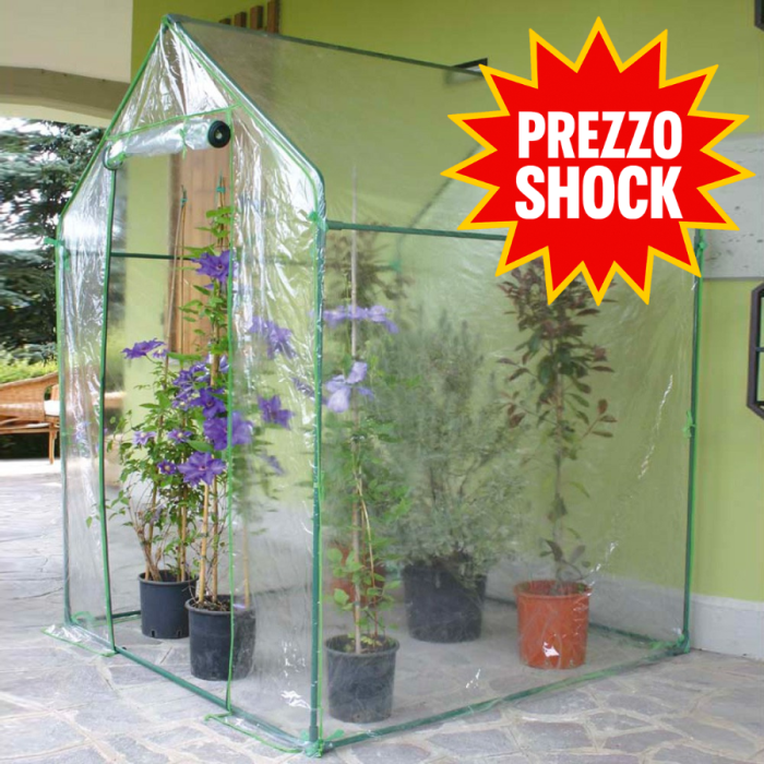 Serra a Casetta Clematis Verdemax