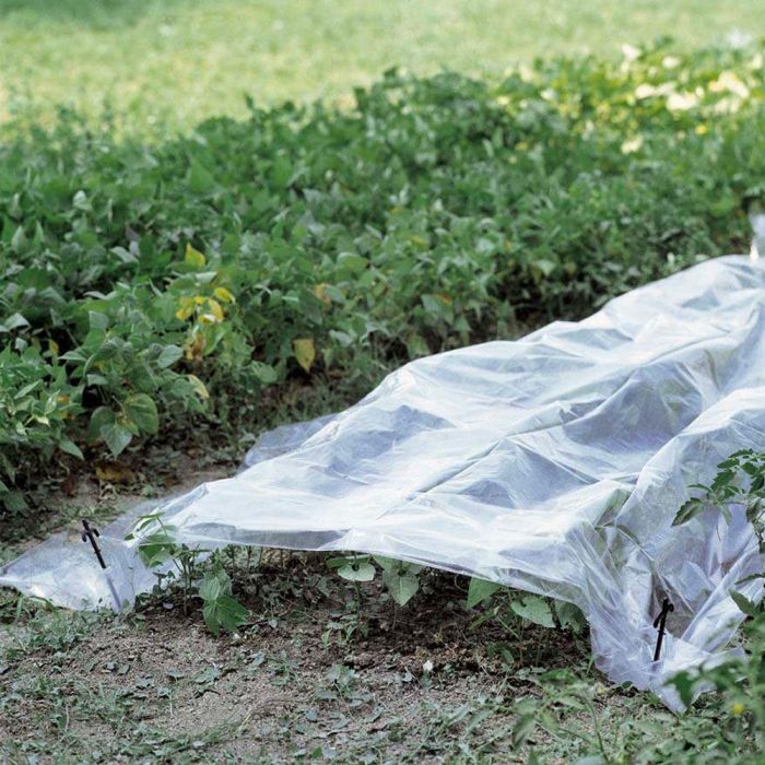 Telo Trasparente per Orto 2x10m | Verdemax