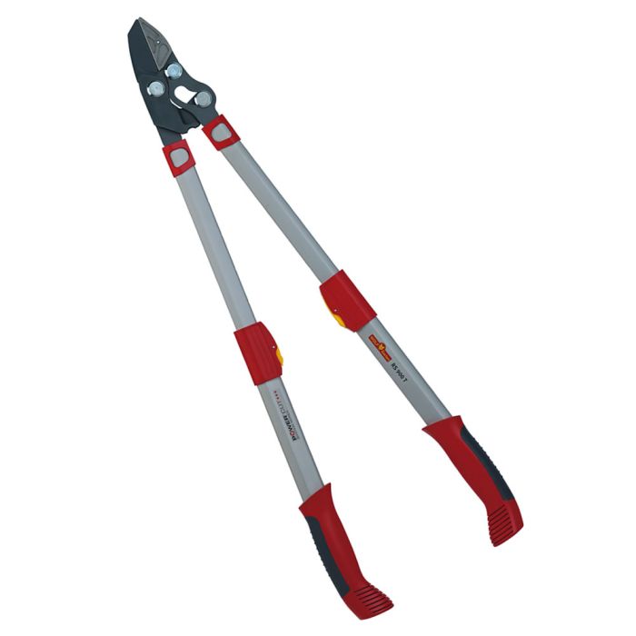 Troncarami telescopico professionale Wolf Garten RS900T