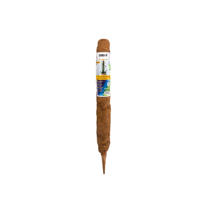 Tutore Muschiato 60 cm | Stocker