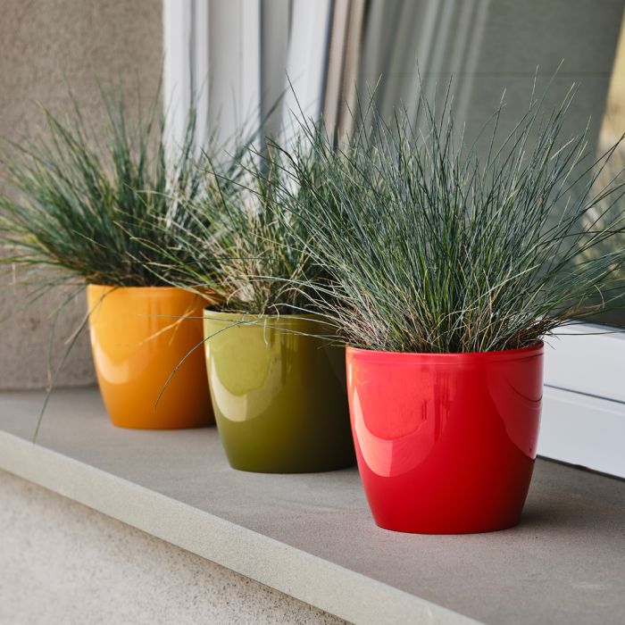 Vasi fiori in plastica colorati Madeira Teraplast