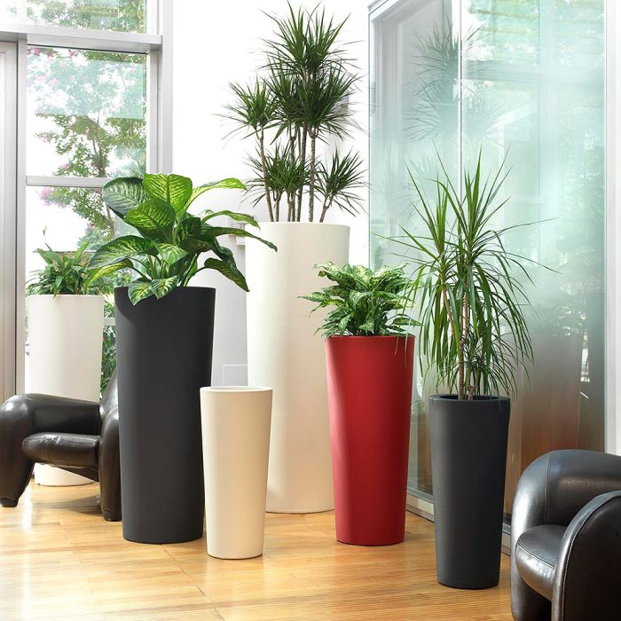 Vaso Schio Cono