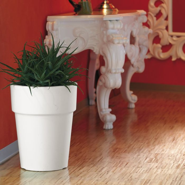 Vaso Ares | Nicoli