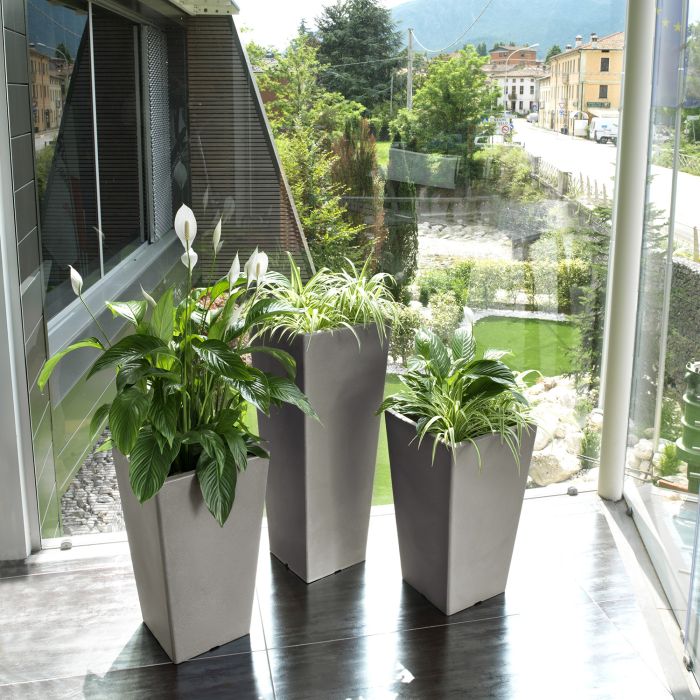Vaso pasubio alto