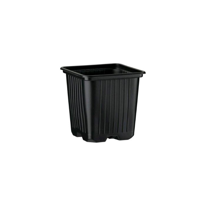 Vaso Quadrato 8x8x8 | Bestprato 