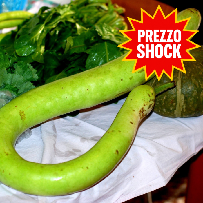 Zucca Serpente di Sicilia | ‎ Bestprato by Hortus