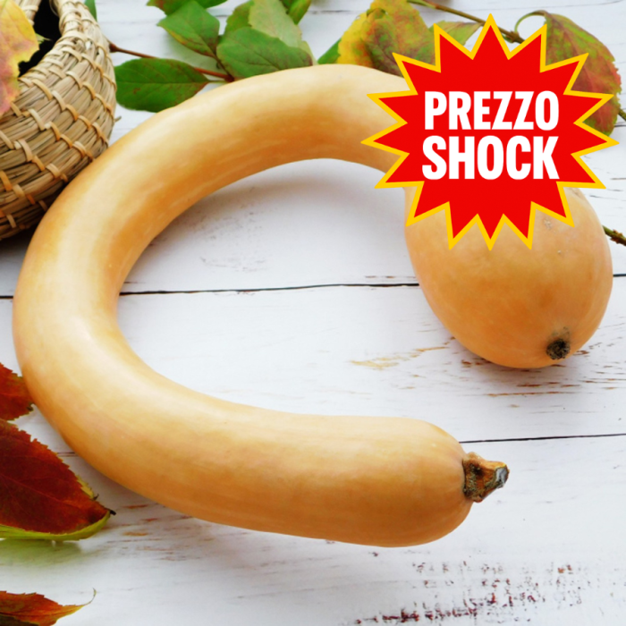Zucca Trombetta di Albenga | ‎ Bestprato by Hortus