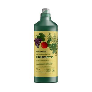 Decotto di Equiseto