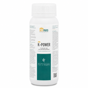 K-Power | Bestprato 500 gr