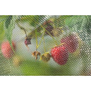 Rete Anti Insetti - 2 x10 m | Stocker