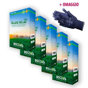 Royal Blue Plus - Bottos - 5Kg + OMAGGIO
