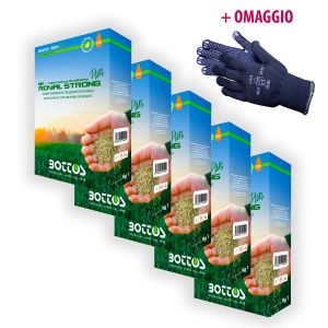 Royal Strong Plus | Bottos - 5Kg + OMAGGIO