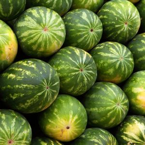 Anguria Crimson Sweet | ‎ Bestprato by Hortus