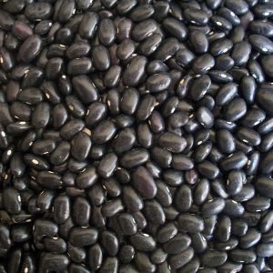Fagiolo Super Marconi Rampicante 250 gr | ‎ Bestprato by Hortus