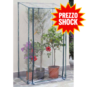 Serra da Balcone Buganvillea Verdemax