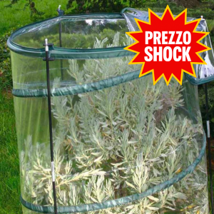 Serra Pop-Up Citrus Verdemax
