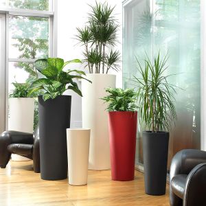 Vaso Schio Cono